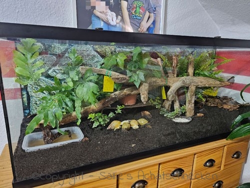 Terrarium für Achatschnecken 120x40x50